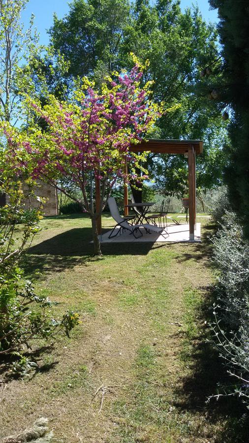 La Canonica San Giovanni dʼAsso Екстериор снимка